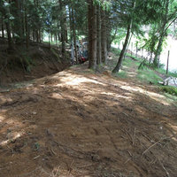 Bagger in der Nähe eines Grabens im Wald